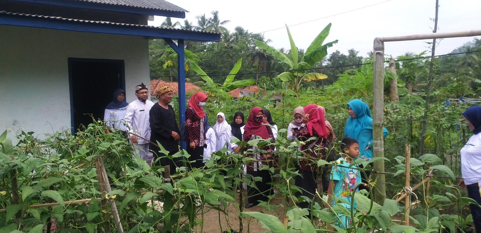 Kegiatan Kelompok Wanita Tani (KWT) Sugalana