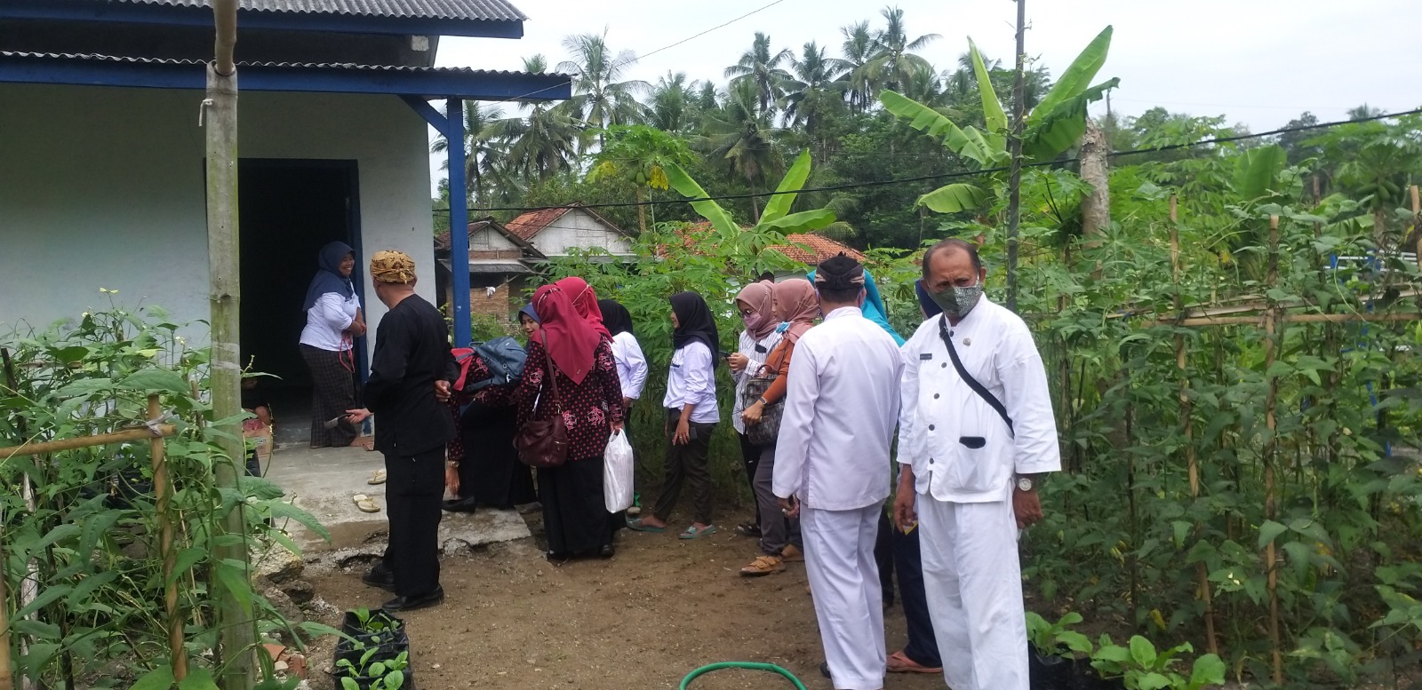 Kegiatan Kelompok Wanita Tani (KWT) Sugalana