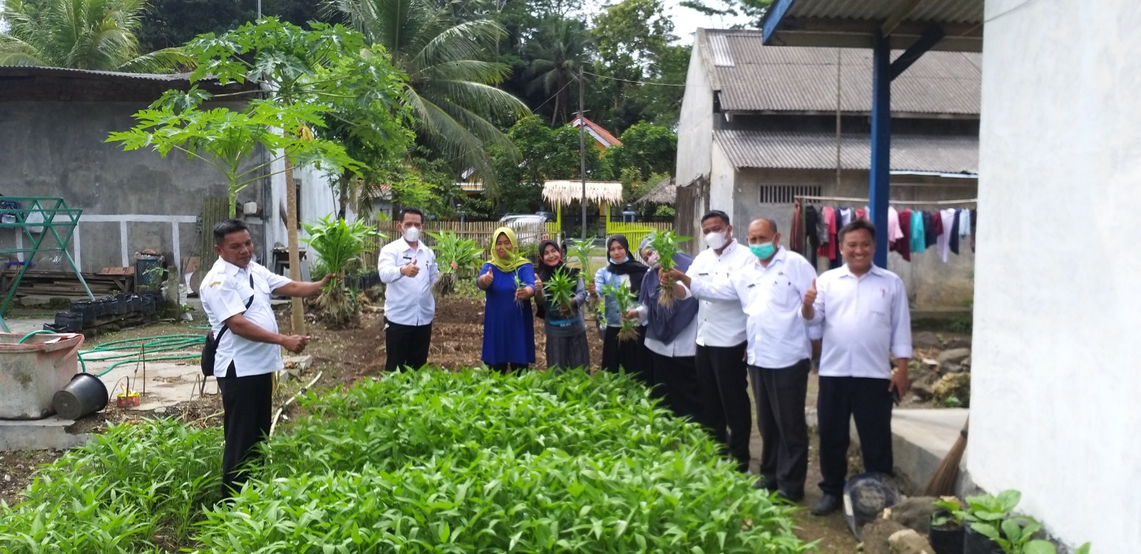 Kegiatan Kelompok Wanita Tani (KWT) Sugalana