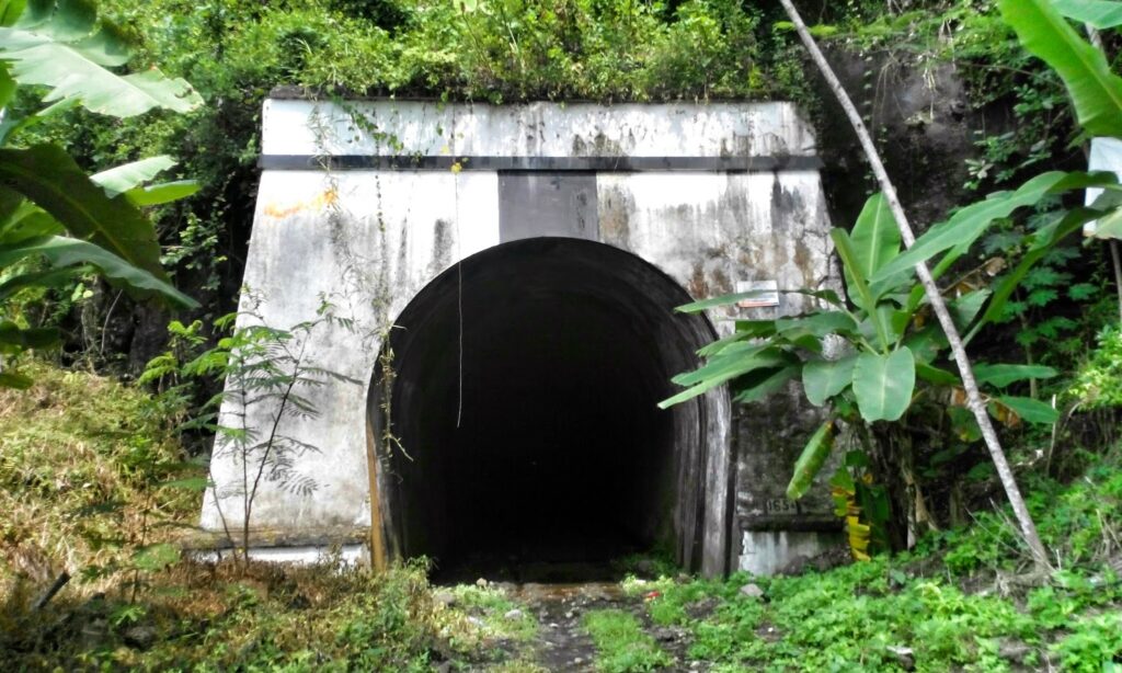 Sejarah Terowongan Wilhelmina: Jejak Kolonial di Bumi Pangandaran