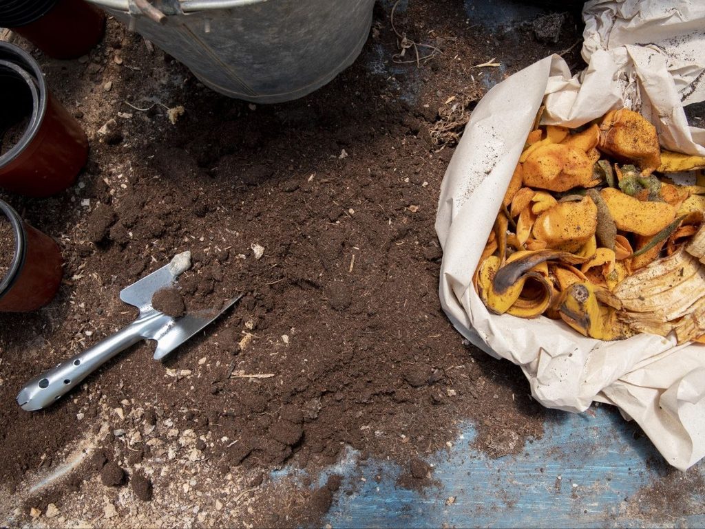 Cara Mengolah Sampah Organik Rumah Tangga Menjadi Kompos di Desa Pamotan